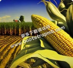 致力提供極致遊戲樂趣 - PG模拟器